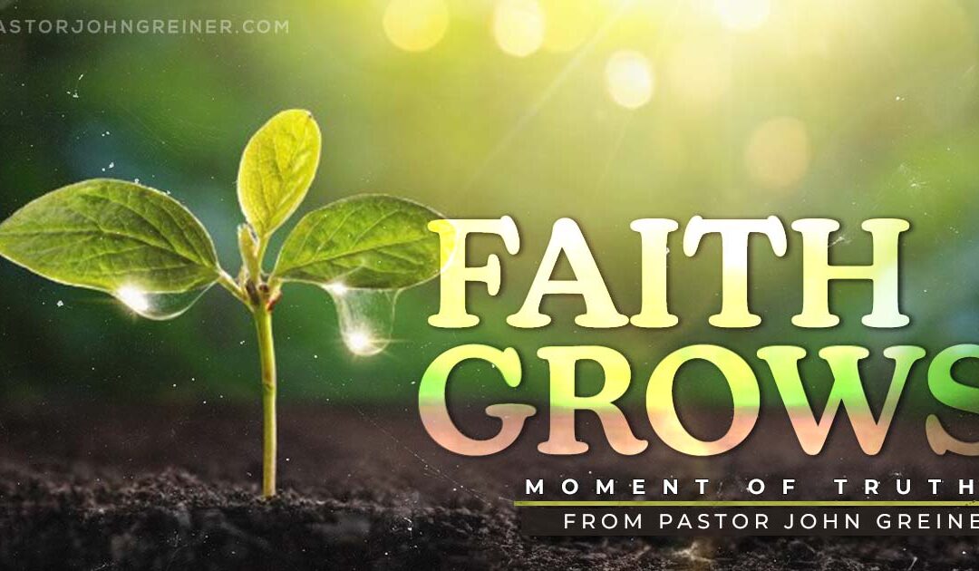 FAITH GROWS